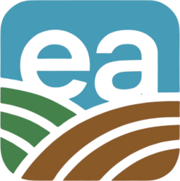 Estatalyze